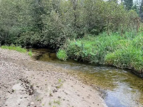 Waterfront Recreational Land with Creek