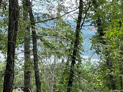 Wooded Lot Near Lake Chatuge
