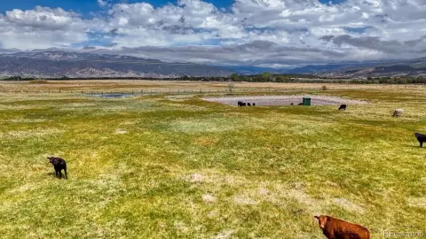 Irrigated Agricultural Land