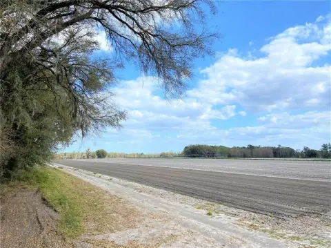 Vacant Land Near Alachua