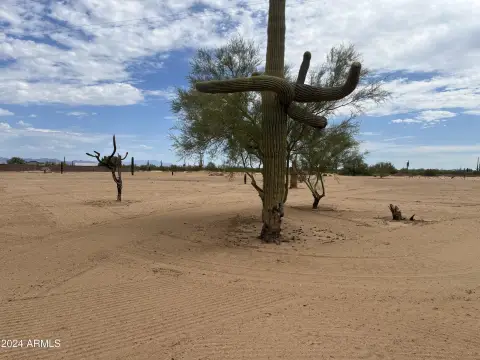 Land For Sale, Florence, AZ