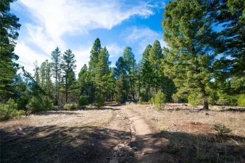 Patented Mining Claim