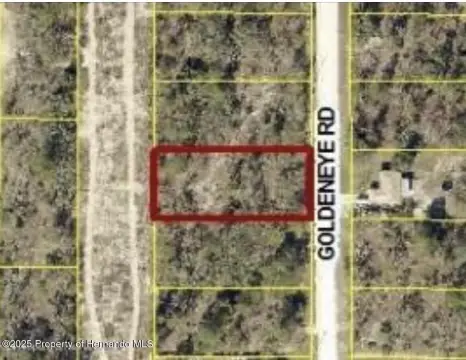 Residential Land in Weeki Wachee