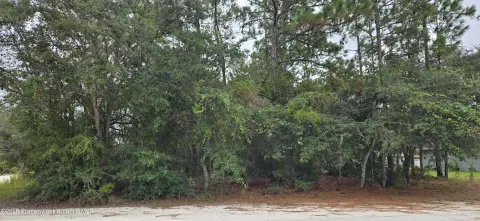 Residential Land in Weeki Wachee