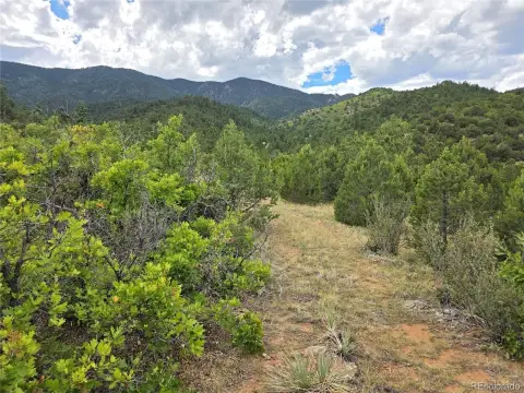Mountain Hunting Land