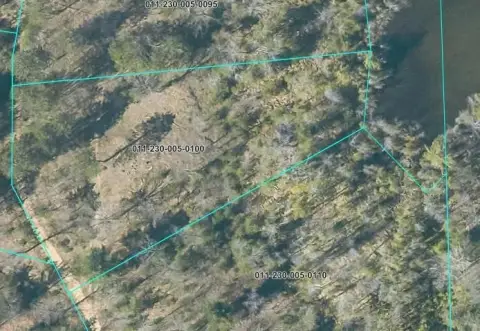 HOUGHTON LAKE Waterfront Land