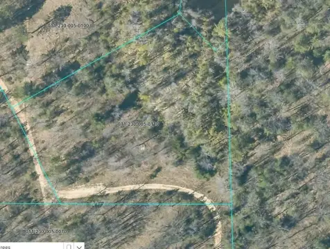 HOUGHTON LAKE Waterfront Land