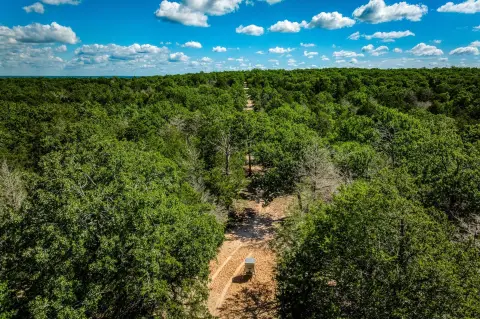 High Fence Hunting Ranch Land