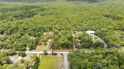 Spacious Homosassa Lot For Sale