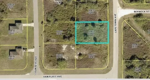 Residential Land in Lehigh Acres