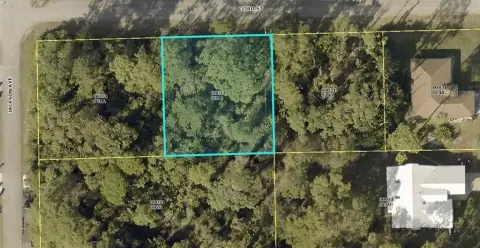 Residential Land in Lehigh Acres