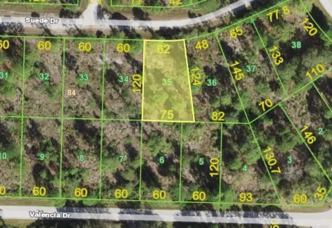 Residential Land in Punta Gorda