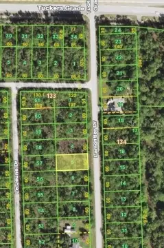 Residential Land in Punta Gorda