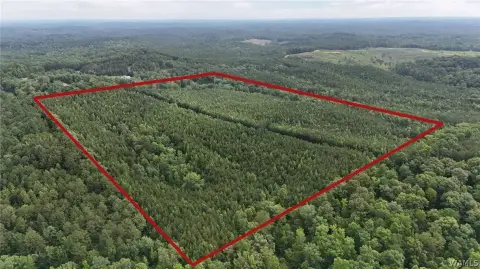 Recreation and Hunting Acreage