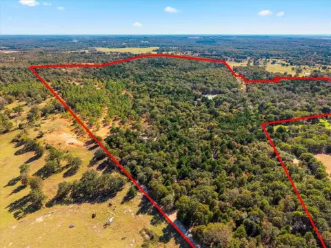 141+ Acre Ag-Exempt Land