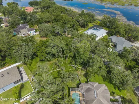 Wooded Lot in Ridge Manor