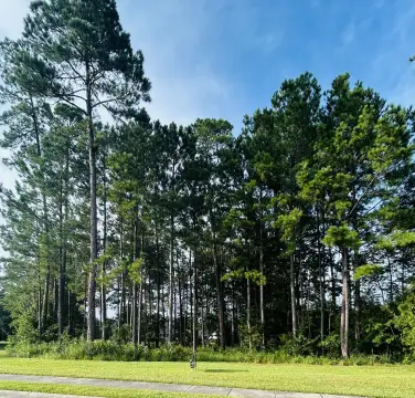 Golf-Adjacent Residential Lot