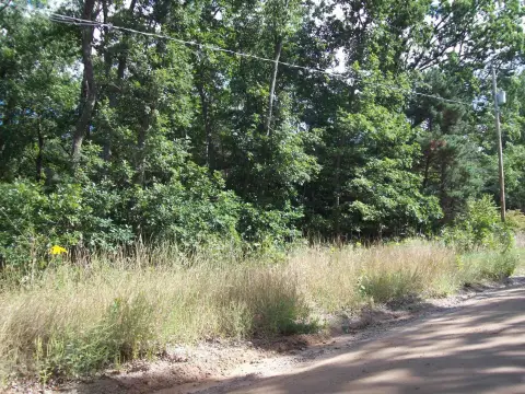 Wooded Lot Near Lily Lake