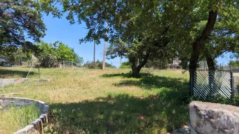 Tree-Lined Agricultural Acreage