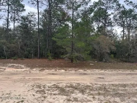 Land Near George's Lake