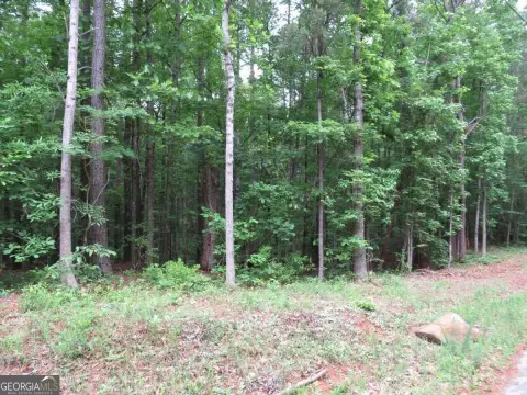 Residential Land in Dallas, GA