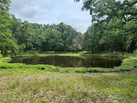 Wooded Homesite Near Cedar Creek