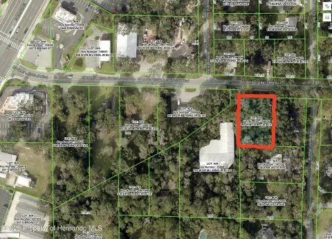 Commercial Land in Growing Brooksville