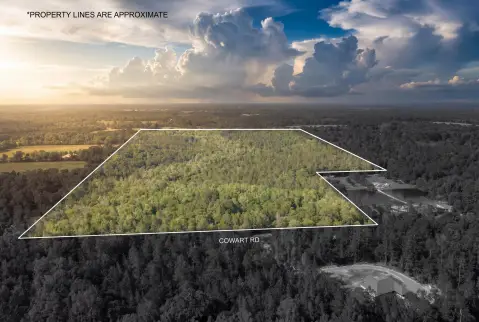Timberland with Cleared Homesite