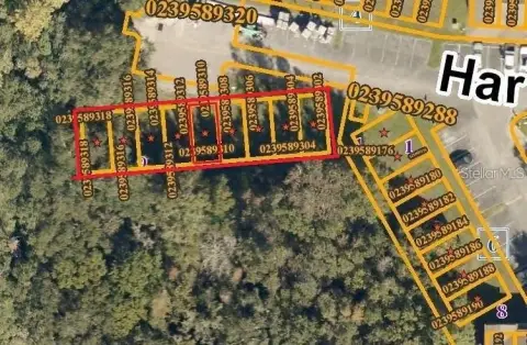 Residential Land in Tampa, Florida