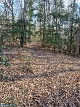 Land with Buildable Sites