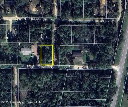 Corner Lot in Webster, Florida