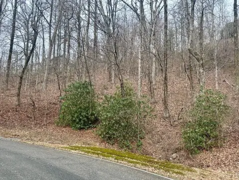 Landrum, SC Homesite Opportunity