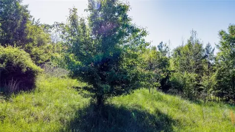 Residential Land Near Lake Hartwell