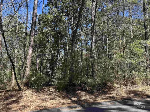 Wooded Residential Buildable Lot