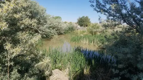Waterfront Recreation Land Parcel