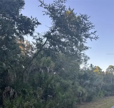Residential Lot in Port Charlotte