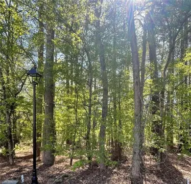 Wooded Lot in Ford's Colony