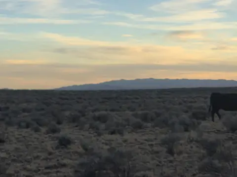 Land with Mountain Views