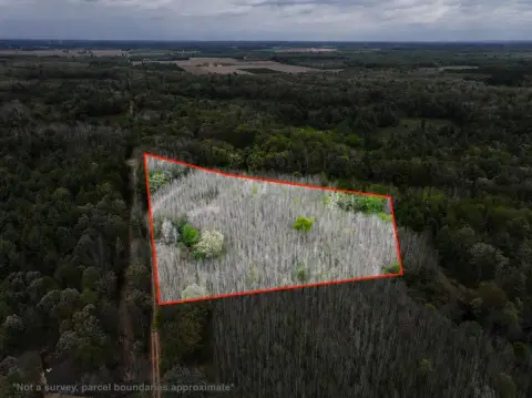 Cleared Wooded Recreational Land