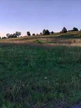 Scenic Building Lot with Views
