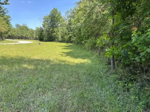 Buildable Homesite with Utilities