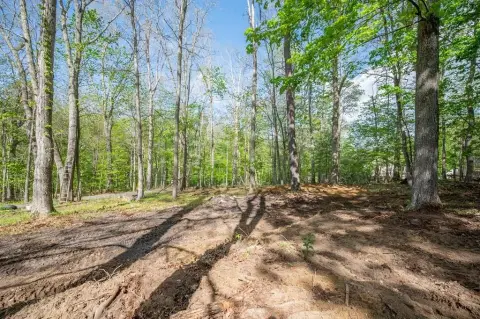 Bland, VA Land Opportunity