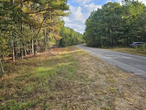 Recreational Homesite with Road Frontage