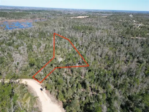 Wooded Residential Lot in Alford, FL