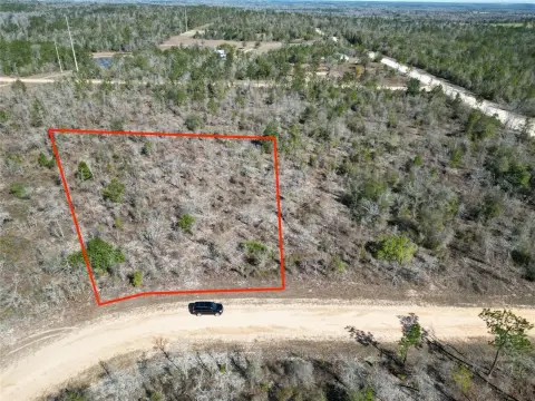 Wooded Lot in Compass Lake