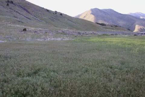 Pocatello Commercial Development Opportunity