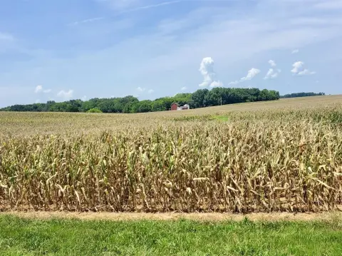 Historic Farm with Road Frontage