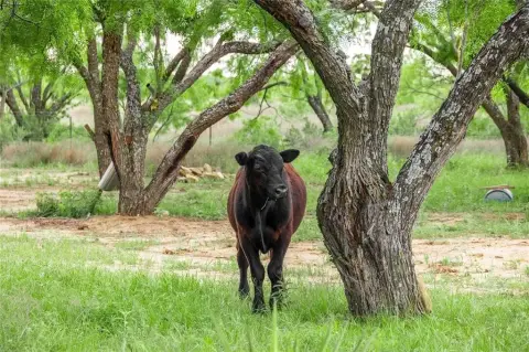 Highway Frontage Ranch Opportunity