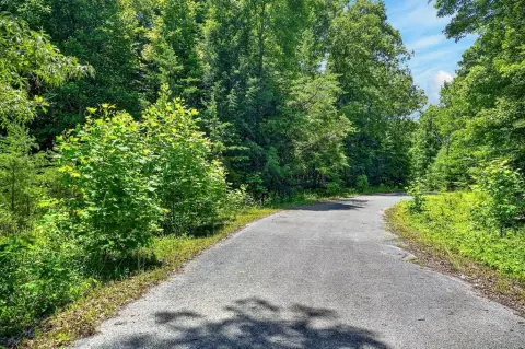 Recreational Homesite with Natural Terrain