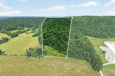Recreational Hunting Land Tract